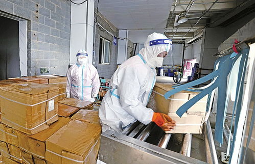 融媒先鋒｜進口冷鏈食品進濟“安檢” 每個流程和細節都不放過，倉外的“眼睛”點亮停車場服務